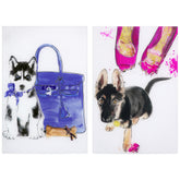 Oh Oh! &H-usky - Discontinued, while supplies last